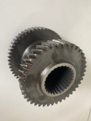 IMG 3756