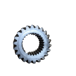 IMG 9508