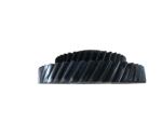 IMG 0237