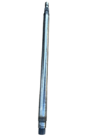 IMG 0695