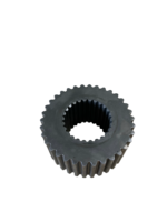 IMG 0736