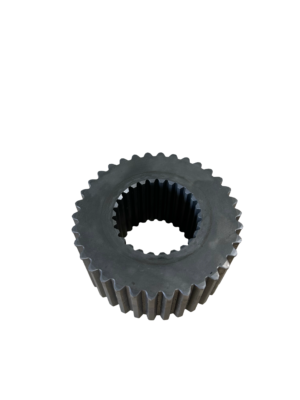 IMG 0736