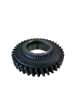IMG 0855