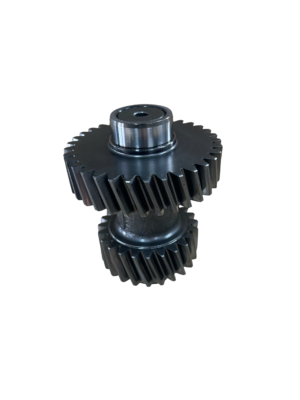 IMG 1203