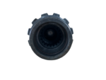 IMG 1231