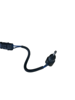 IMG 1690