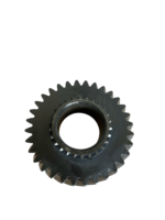 IMG 1846