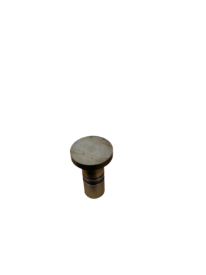 IMG 2506