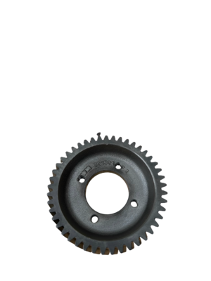 IMG 2524