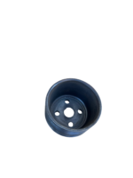 IMG 2748