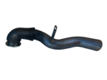 IMG 2856